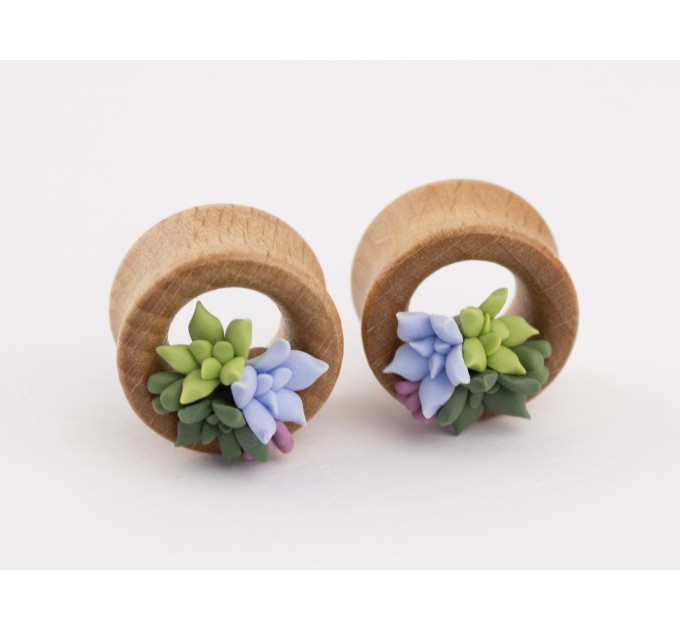 Cute wooden plugs with succulents, 00g - 20mm tunnels