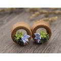 Cute wooden plugs with succulents, 00g - 20mm tunnels