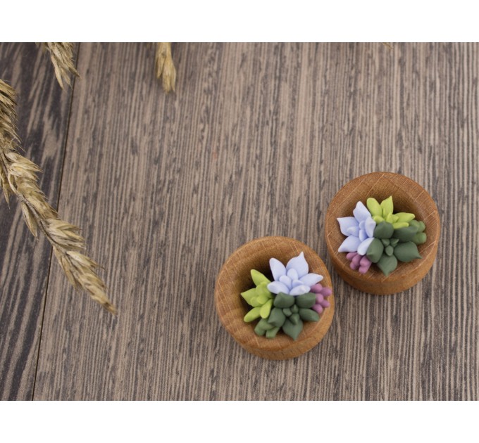 Cute wooden plugs with succulents, 00g - 20mm tunnels