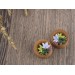 Cute wooden plugs with succulents, 00g - 20mm tunnels