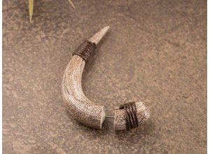 Horn fake gauge earrings 