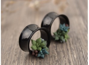 Tiny succulents tunnels green 10-25mm