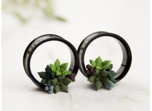 Tiny succulents tunnels green 10-25mm