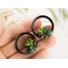 Handmade gauges plugs with succulents - cute flesh tunnels