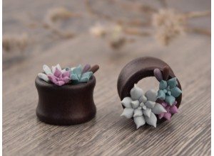Tiny succulents wooden tunnels dusty pink and teal 8-20mm