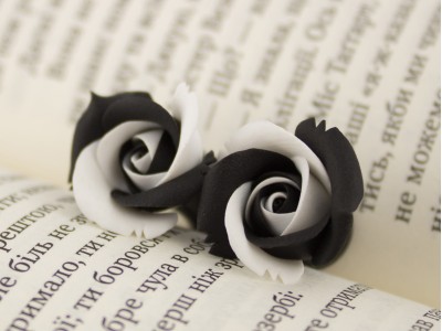 BW rose ear plugs 3-20mm BW rose ear plugs 3-20mm