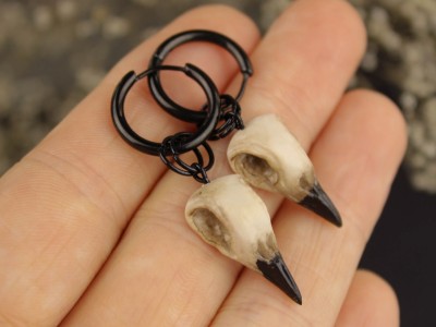 Bird skull hoop ear hangers 6-25mm Bird skull hoop ear hangers 6-25mm