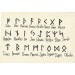 Personalized viking earring - Norse rune plugs 