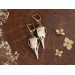 Dangle pagan earrings with raven skulls - Norse jewelry