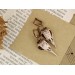 Dangle pagan earrings with raven skulls - Norse jewelry