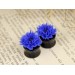 Blue cornflower plugs and tunnels – 4g – 20mm ear gauges