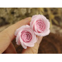 Blush pink rose ear plug 3-20mm