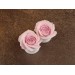 Blush soft pink rose bridal gauges, 6g – 20mm ear plugs