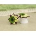 Green brown ear lobe plugs – cute gauges for wedding