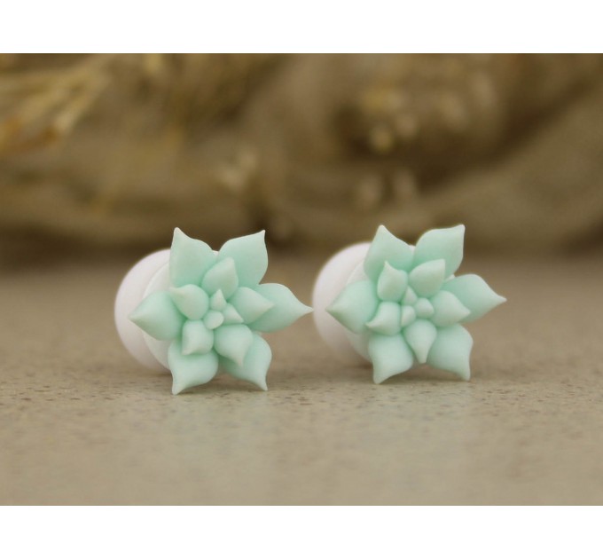 Cute succulent ear plugs gauges | 8g 4g – 20mm
