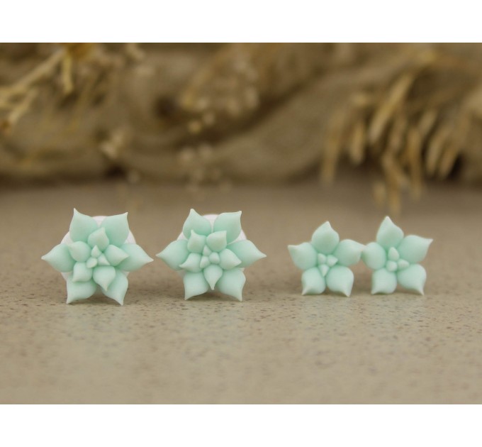 Cute succulent ear plugs gauges | 8g 4g – 20mm
