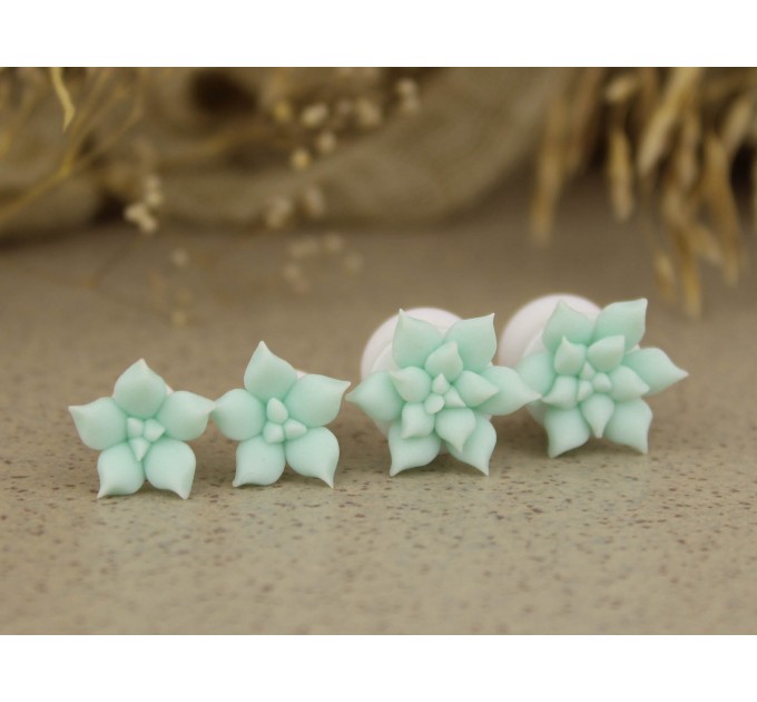 Cute succulent ear plugs gauges | 8g 4g – 20mm