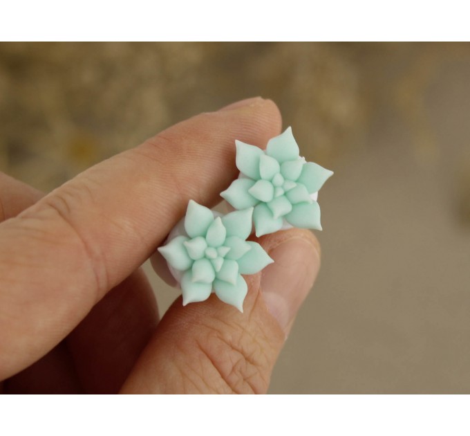 Cute succulent ear plugs gauges | 8g 4g – 20mm