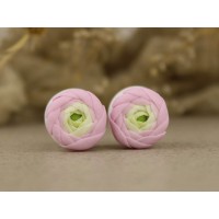 Pink ranunculus plugs 3mm - 20mm