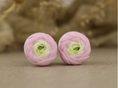 Pink ranunculus plugs 3mm - 20mm Pink ranunculus plugs 3mm - 20mm
