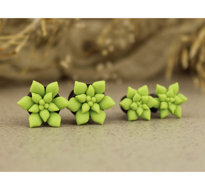 Sage green succulent ear gauge tunnels – cool plug earrings