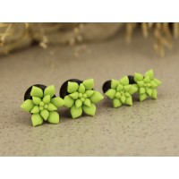 Sage green succulent ear plugs 3-20mm