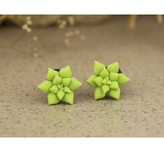 Sage green succulent ear gauge tunnels – cool plug earrings