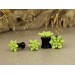 Sage green succulent ear gauge tunnels – cool plug earrings