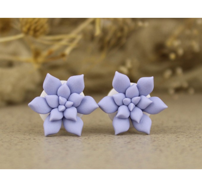 0g ear gauge - 6g plugs with sky blue succulents