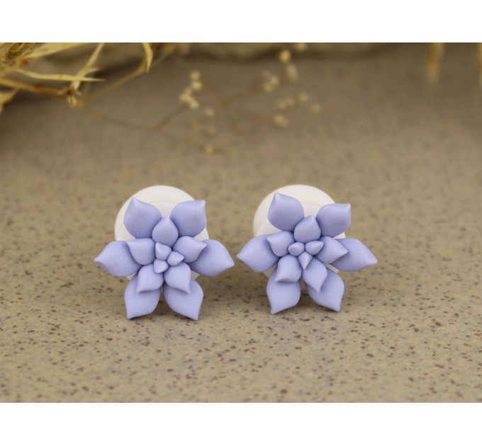 0g ear gauge - 6g plugs with sky blue succulents