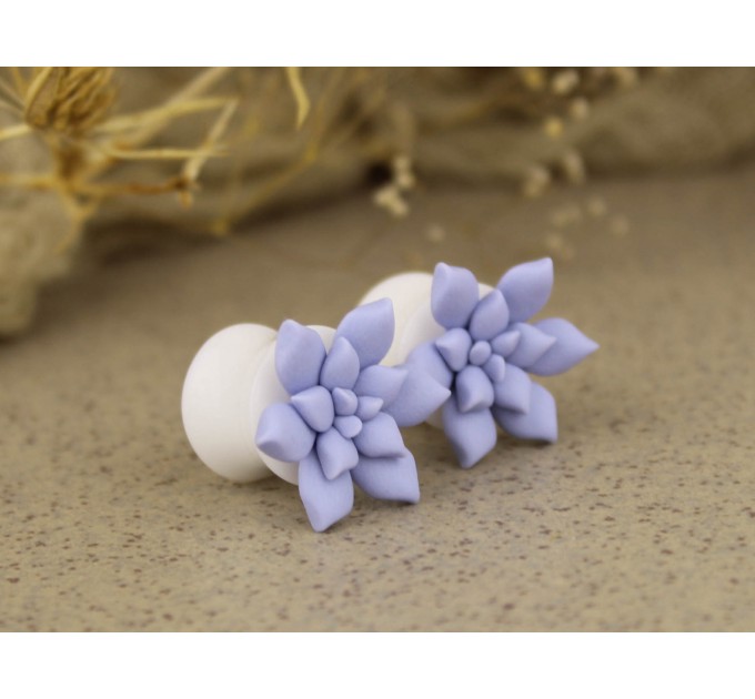 0g ear gauge - 6g plugs with sky blue succulents