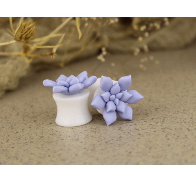 0g ear gauge - 6g plugs with sky blue succulents