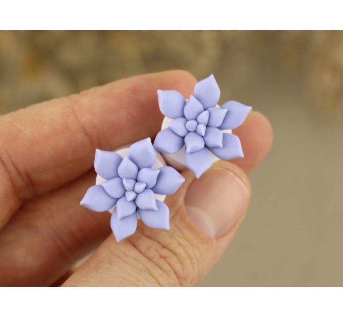 0g ear gauge - 6g plugs with sky blue succulents