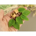 Dangle gauges for ears with green leaves and dewdrops