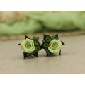 Sage green and olive ear stretch plugs – cute gauges tunnels