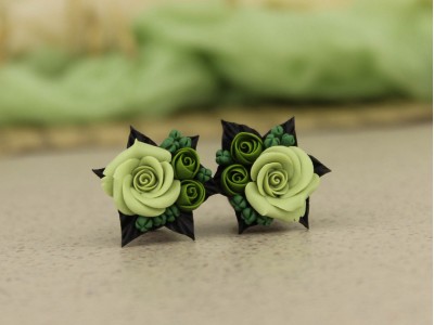 Green olive sage rose plugs 8mm - 20mm