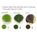 Botanical wood plugs – green leaf 00g gauges earrings