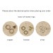 Botanical wood plugs – green leaf 00g gauges earrings