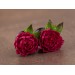 Crimson red peonies earrings for stretched earlobes Bright pink flower gauges Wedding tunnels and plugs Bridal Floral Handmade