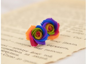 Rainbow rose ear plugs 3-20mm