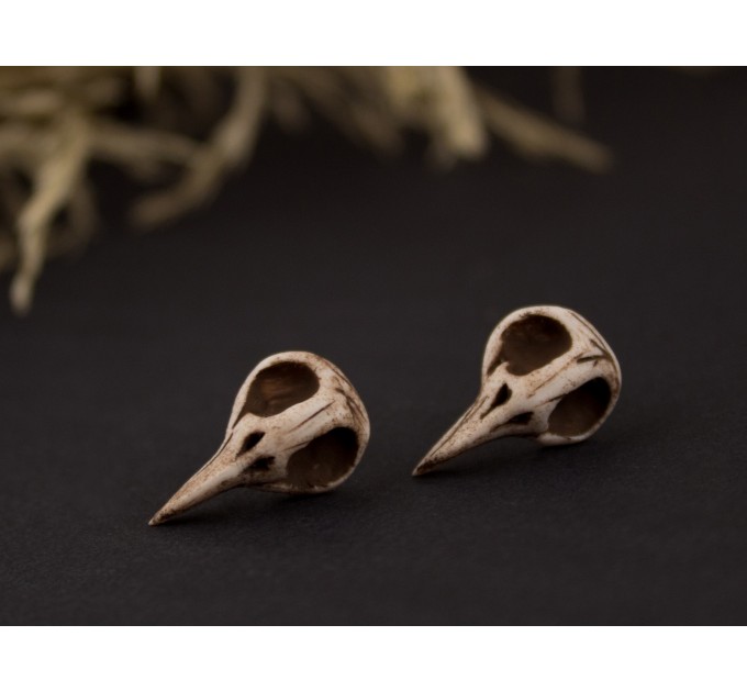 Tiny bird skull stud earrings Raven skeleton Halloween jewelry Gothic Witchcraft Pagan Wiccan Dark aesthetic lover gift Handmade 