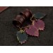 Dangle wooden tunnels with burgundy and teal leaves Autumn jewelry for stretched ears Plugs and gauges Handmade