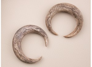 Ancient horn gauge earrings 5-14mm