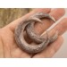 Viking gauge earrings for stretched ears Guys plugs and tunnels Ancient horn Norse Brutal jewelry