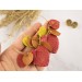 Golden screw back tunnel earrings for stretched ears with orange yellow red fall leaves Hoop hangers Handmade