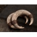 Viking style gauge earrings for stretched ears Ancient horn Brutal jewelry for men