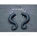 Gothic style black rose faux or real gauges Dark fashion jewelry for stretched ears Witch earrings Halloween