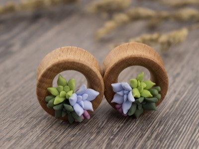 Cute succulents wooden tunnels light green blue lavender 8-20mm Cute succulents wooden tunnels light green blue lavender 8-20mm