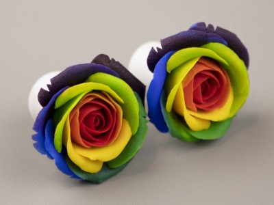 Rainbow flower ear plugs 3-20mm