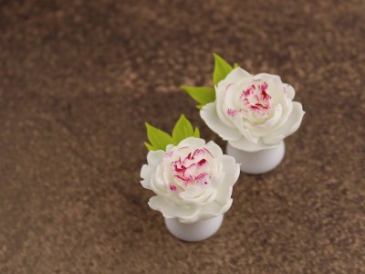 White peony plug earrings 3mm - 20mm